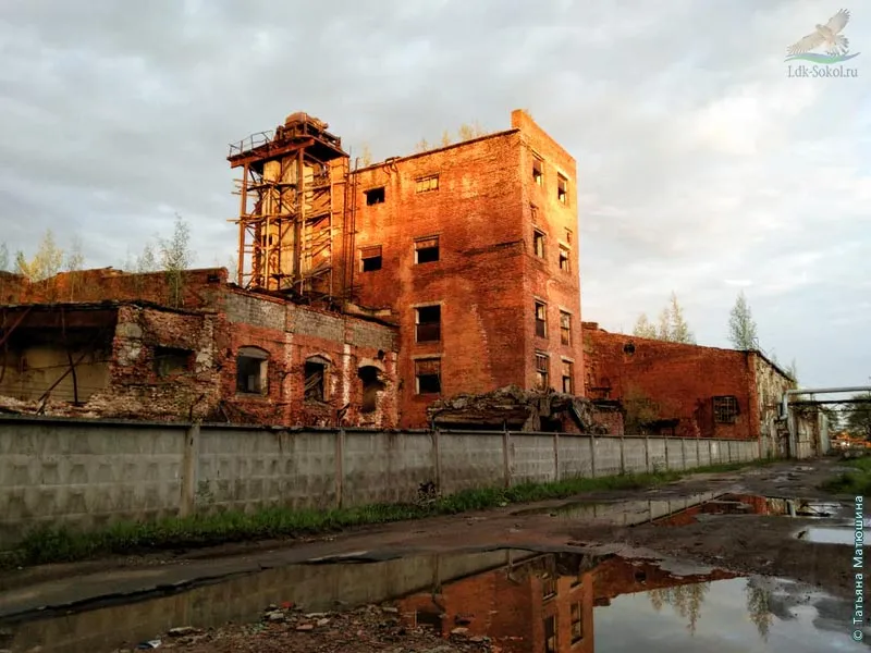 ЦБК «Сокол»