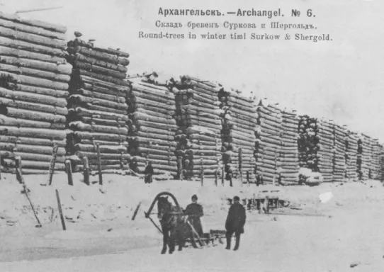 Лес